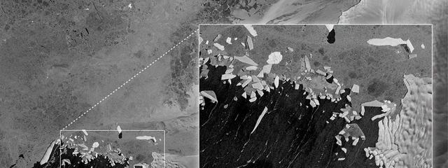 sentinel1